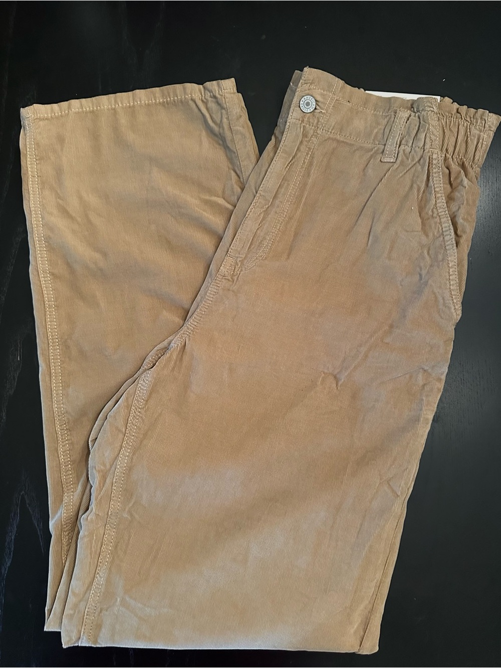American Eagle Corduroy Pants